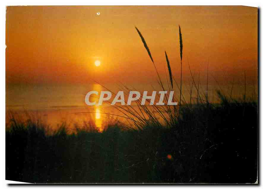 CPM De la Loire a la Vendee Coucher de Soleil 