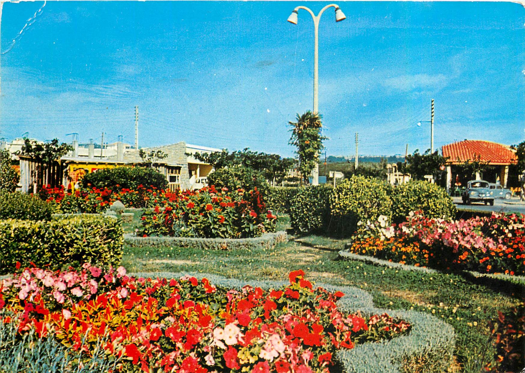 CPM Narbonne Plage Aude Boulevard Centrale et Jardin Floral 