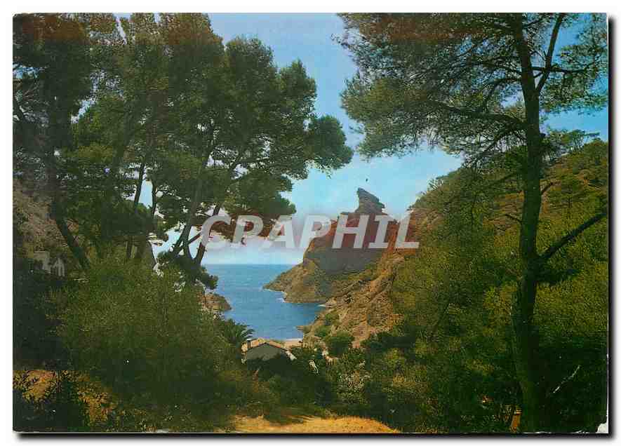 CPM La Cote d'Azur la Ciotat B du Rhone la Belle Calanque de Figuerolles 