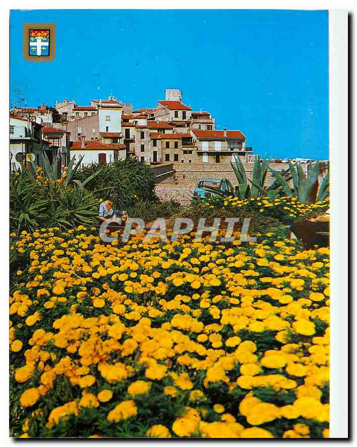 CPM Antibes vue sur le vieil Antibes 