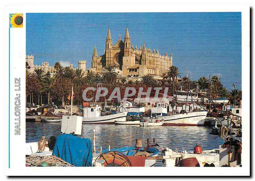 CPM Mallorca Luz 