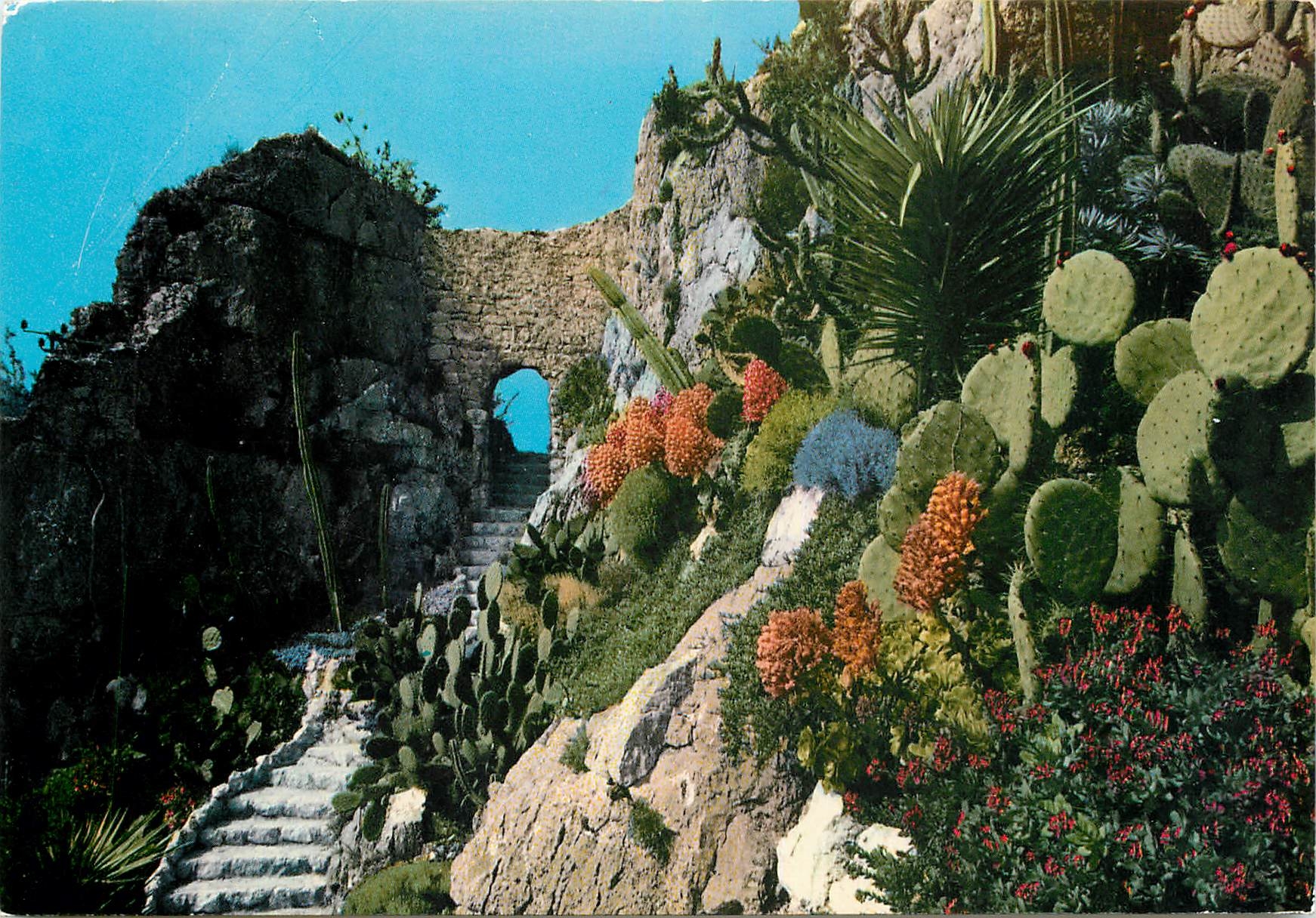 CPM Cote d'Azur Vieilles pierres et jardins exotiques 