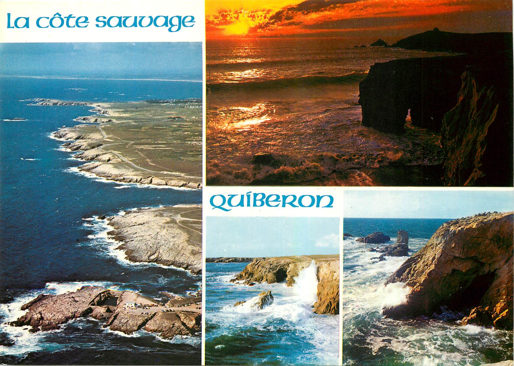 CPM Couleurs de Bretagne la Presqu'il de Quiberon la Cote Sauvage 
