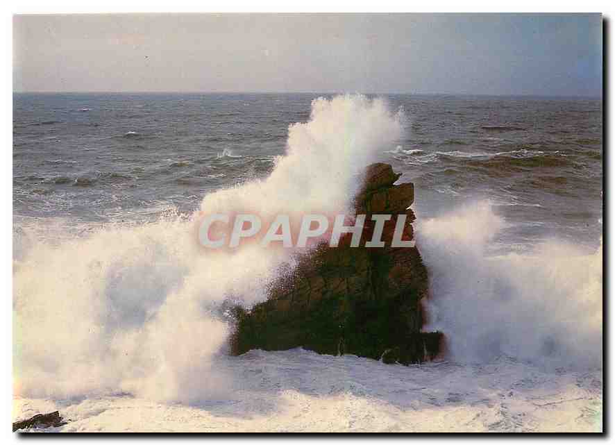 CPM Couleurs de Bretagne la Presqu'il de Quiberon la Cote Sauvage le Rocher du Lion 