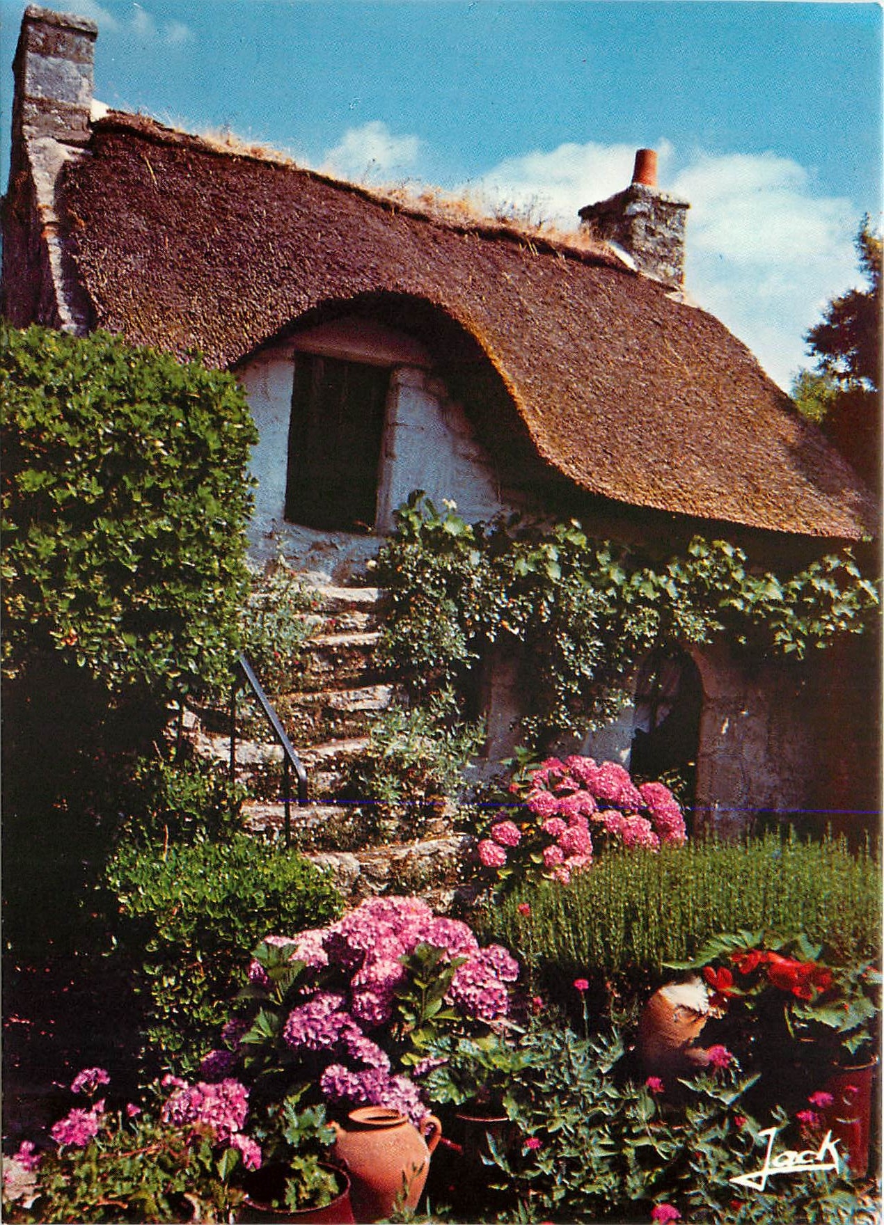 CPM Couleurs de Bretagne Chaumiere fleurie a l'ile aux Moines 