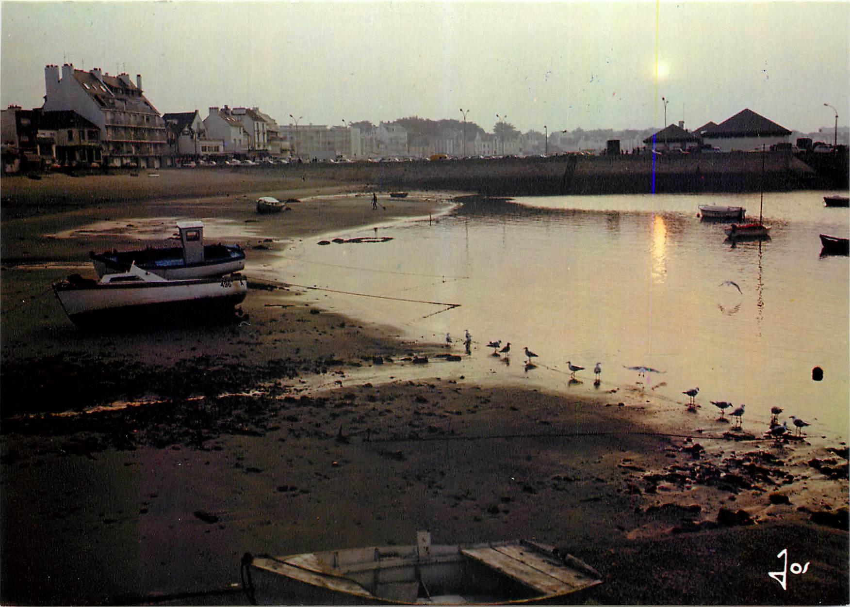 CPM La Bretagne en Couleurs Quiberon Lever du Jour sur Port Maria a maree Basse 