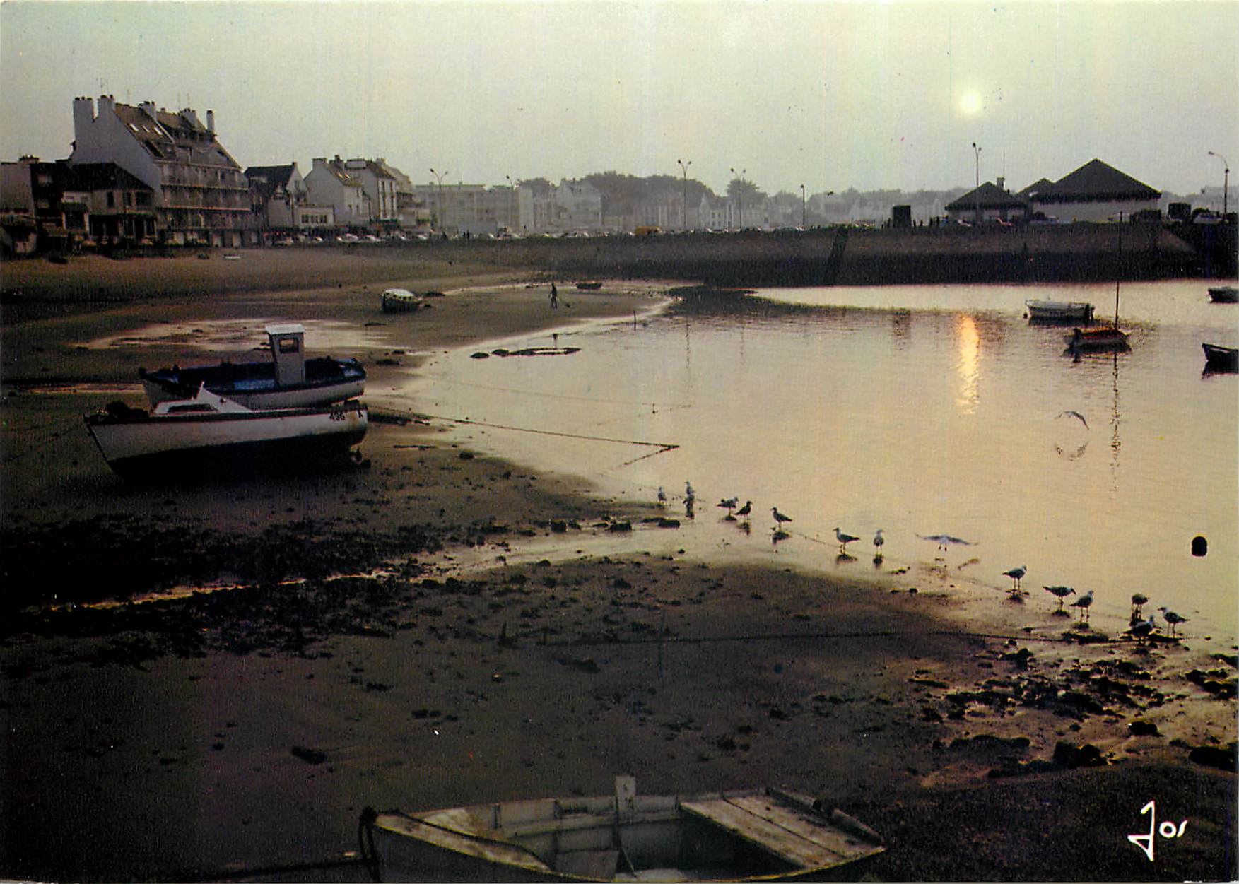 CPM La Bretagne en Couleurs Quiberon Lever du Jour sur Port Maria a maree Basse 