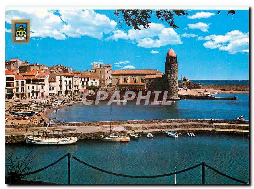 CPM Lumiere et Couleurs de la Cote Vermeille Collioure Celebre petit port Catalan vue sur le port et