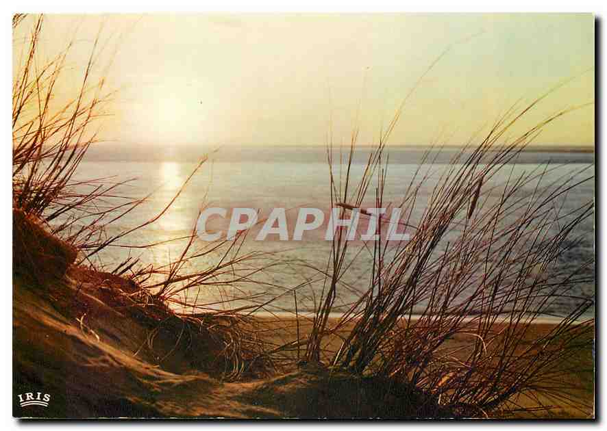 CPM Cote Atlantique Coucher de Soleil sur l'Ocean les Oyats 