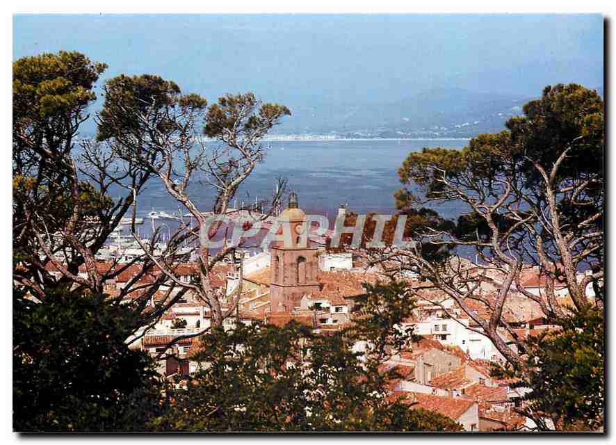 CPM Saint Tropez Var Vue sur le clocher et les toits depuits la citadelle 