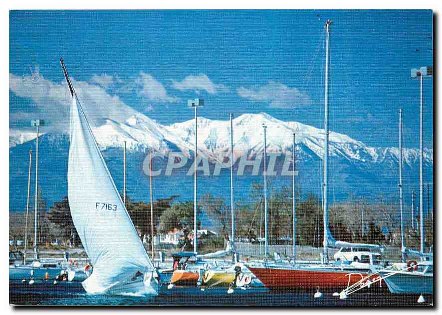 CPM Saint Syprien le port au fond le Canigon 
