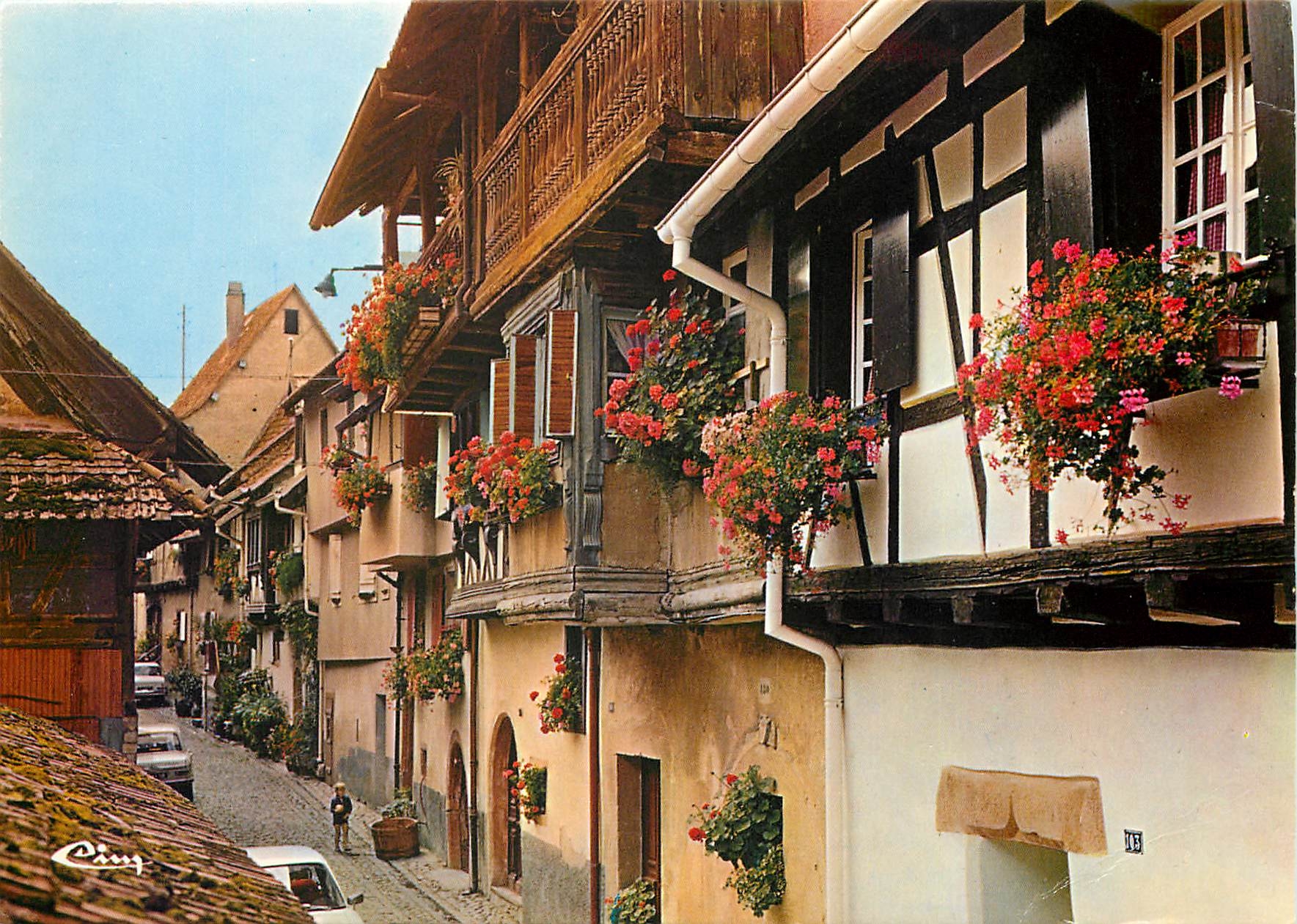 CPM Eguisheim Haut Rhin Rue des Remparts 