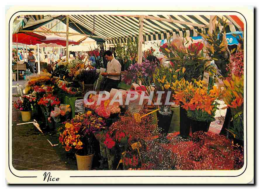 CPM Reflets de la Cote d'Azur Nice A Mmes le Marche aux Fleurs 