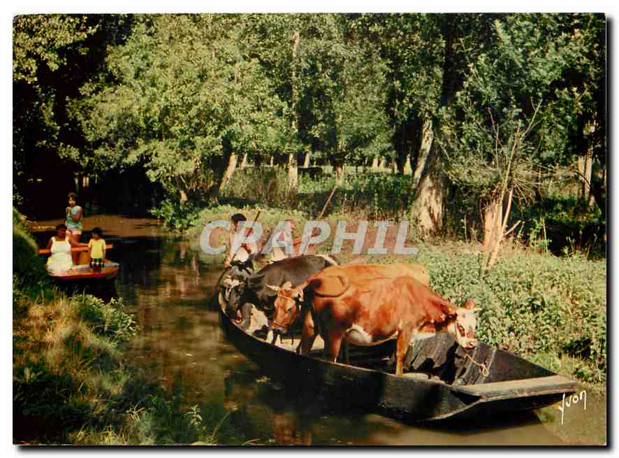 CPM Le Marais Poitevin deux Sevres la Venise verte vous offre Calme et repos sous ses frais ombrages