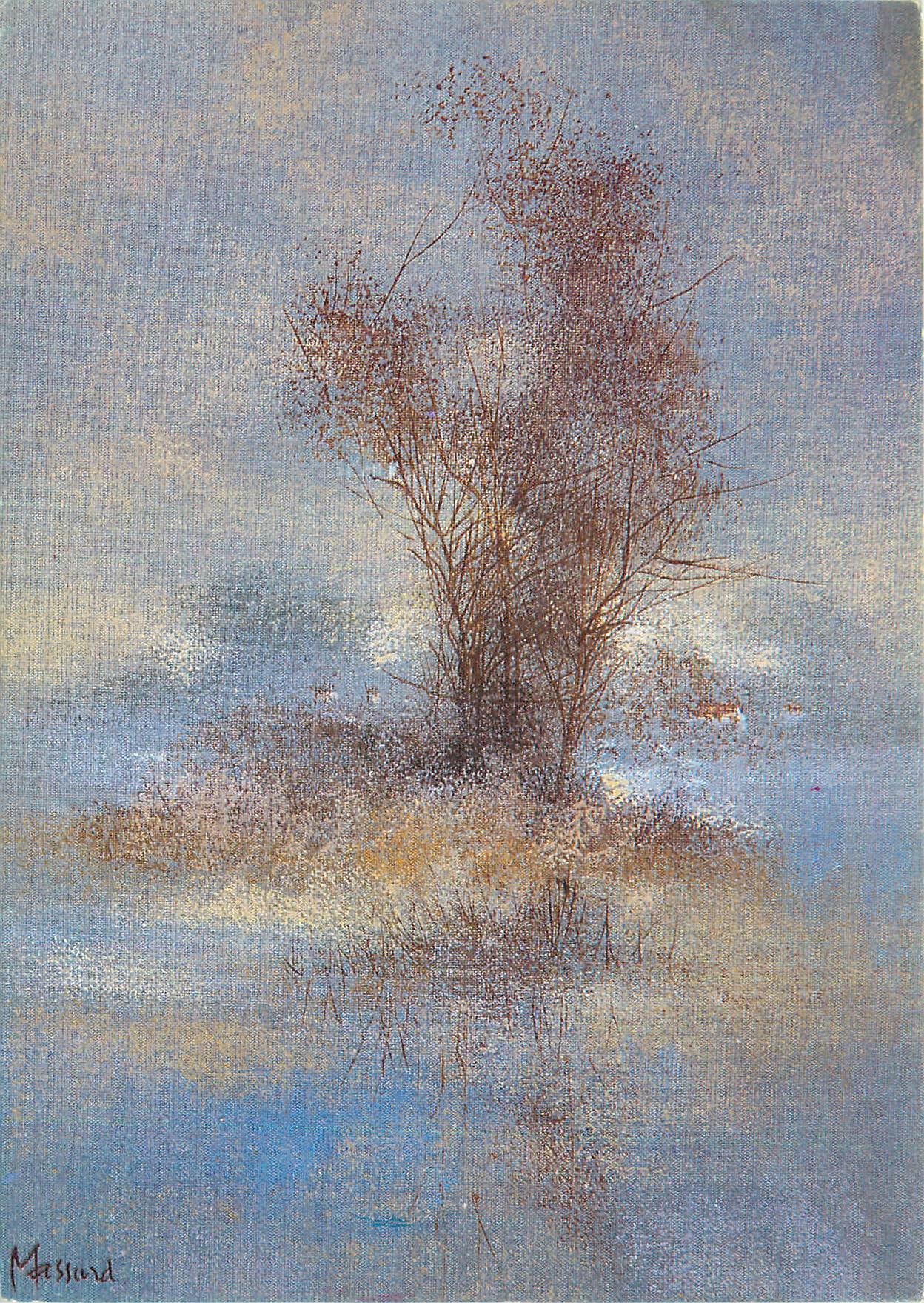CPM Leo Massard Etang en Pays de Somme 