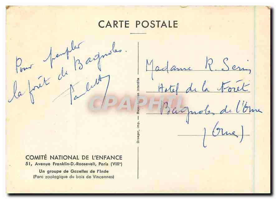 CPM Comite National de l'Enfance un groupe de Gazelles de l'Inde Parc Zoologique du bois de Vincenne — Verso