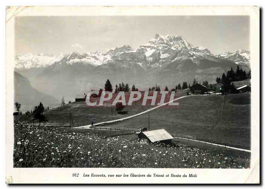 CPM Les Ecovats vue sur les Glaciers du Trient et Dents du Midi 
