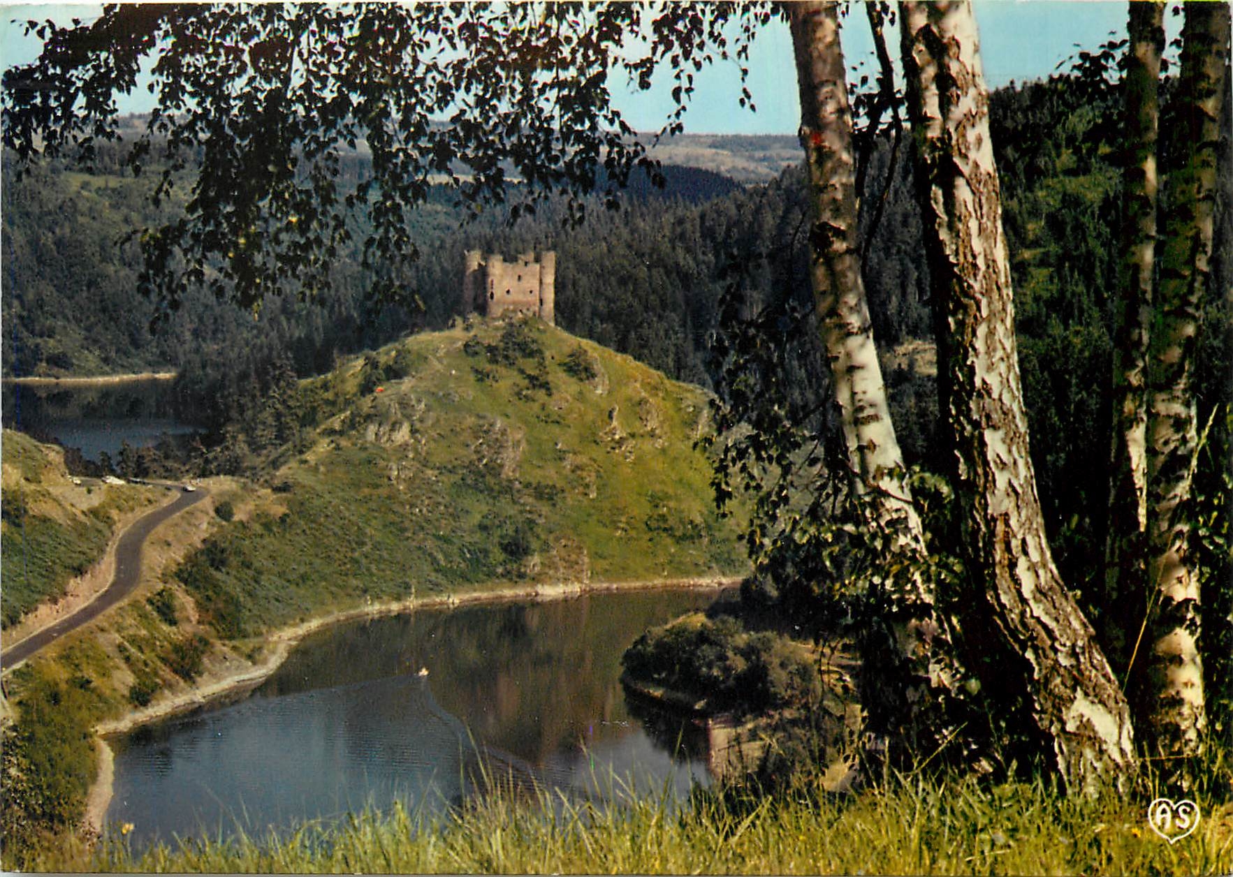 CPM L'Auvergne Pittoresque Site et Chateau d'Alleuze dominant la Truyere 