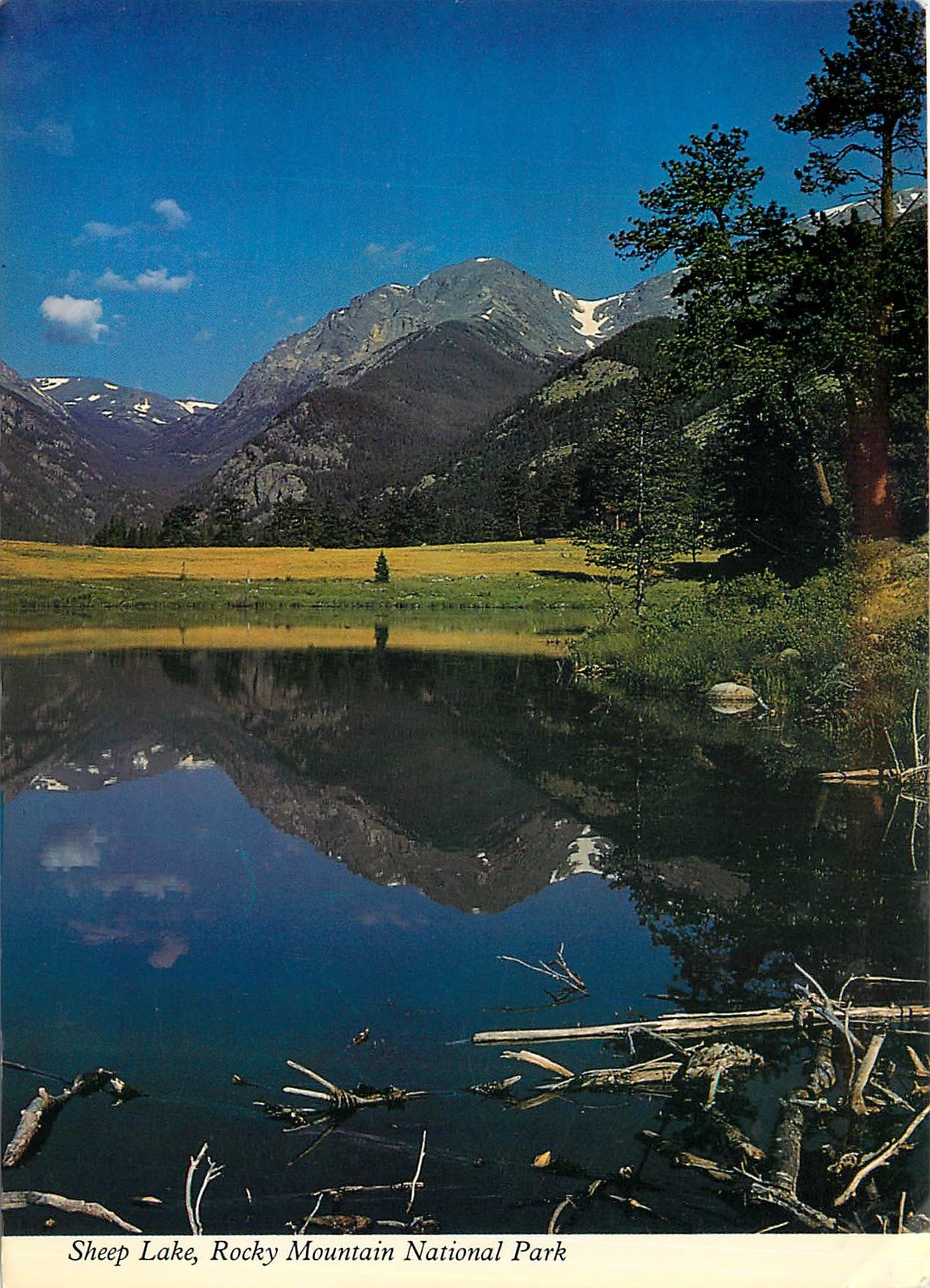 CPM Sheep Lake Rocky Mountain National Park 