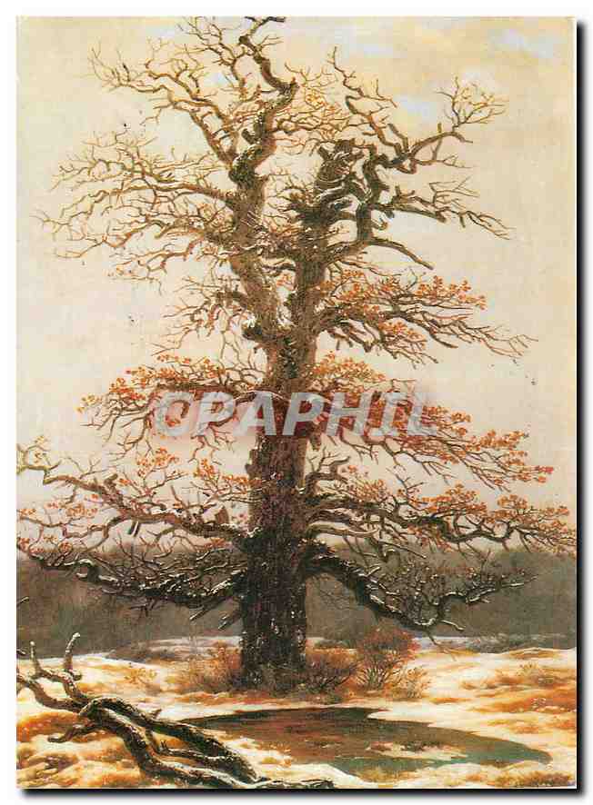 CPM Caspar David Friedrich Chene sous la Neige 