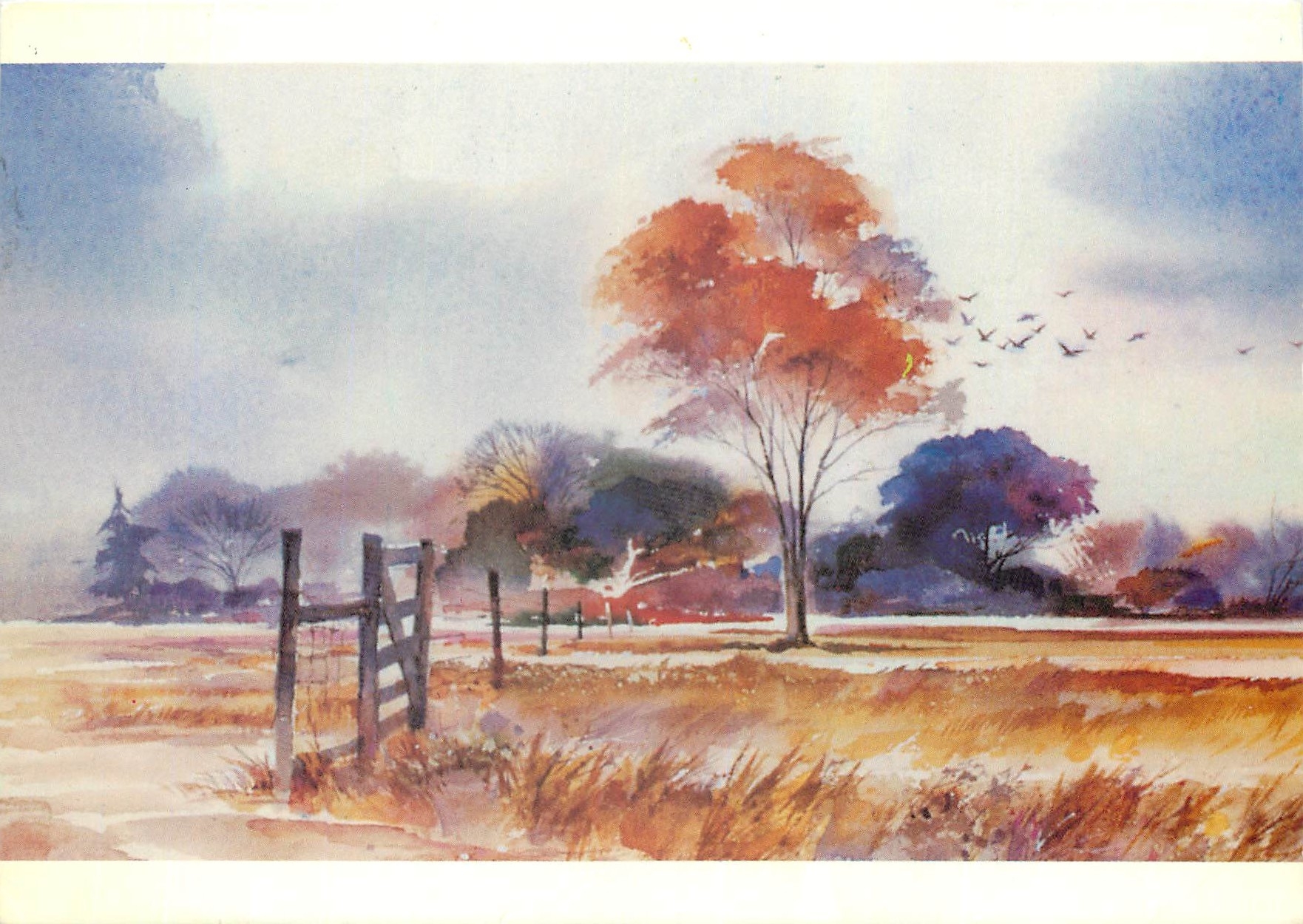CPM Paysage