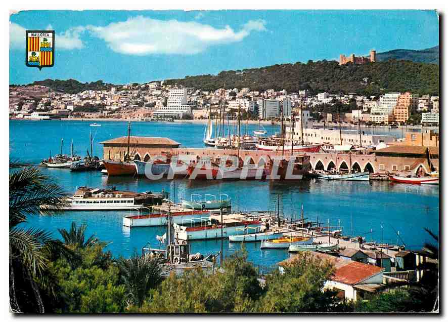 CPM Mallorca Palma Vue partielle du Port 