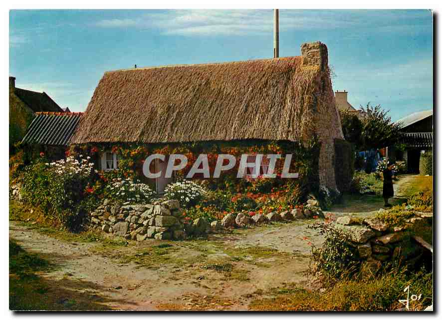 CPM La Bretagne Couleurs Chaumiere bretonne fleurie 