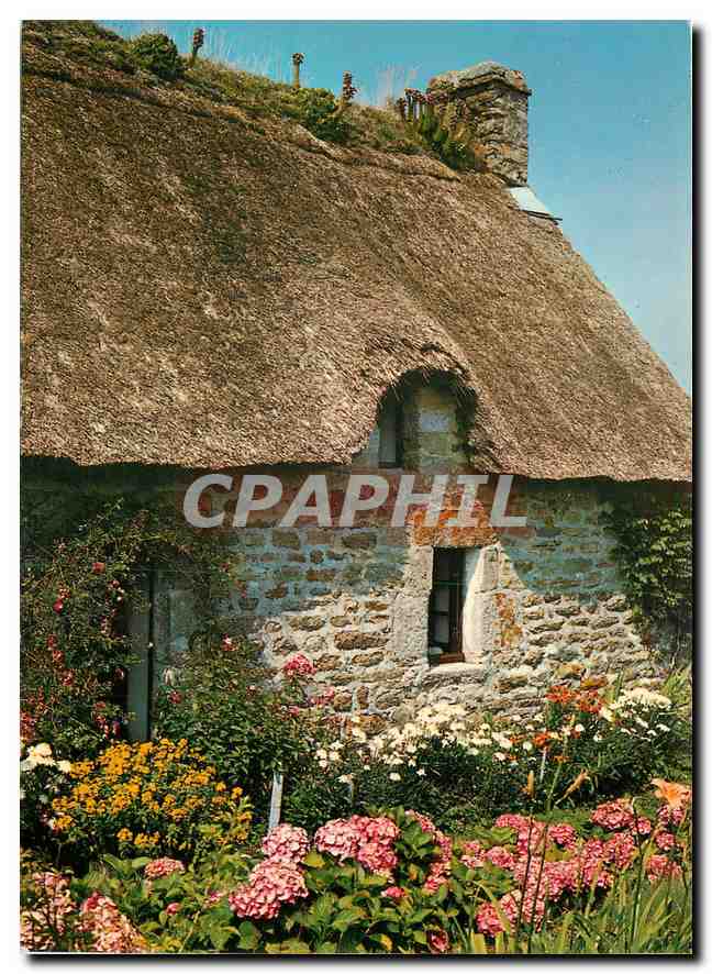 CPM La Bretagne Pittoresque Chaumiere Fleurie 