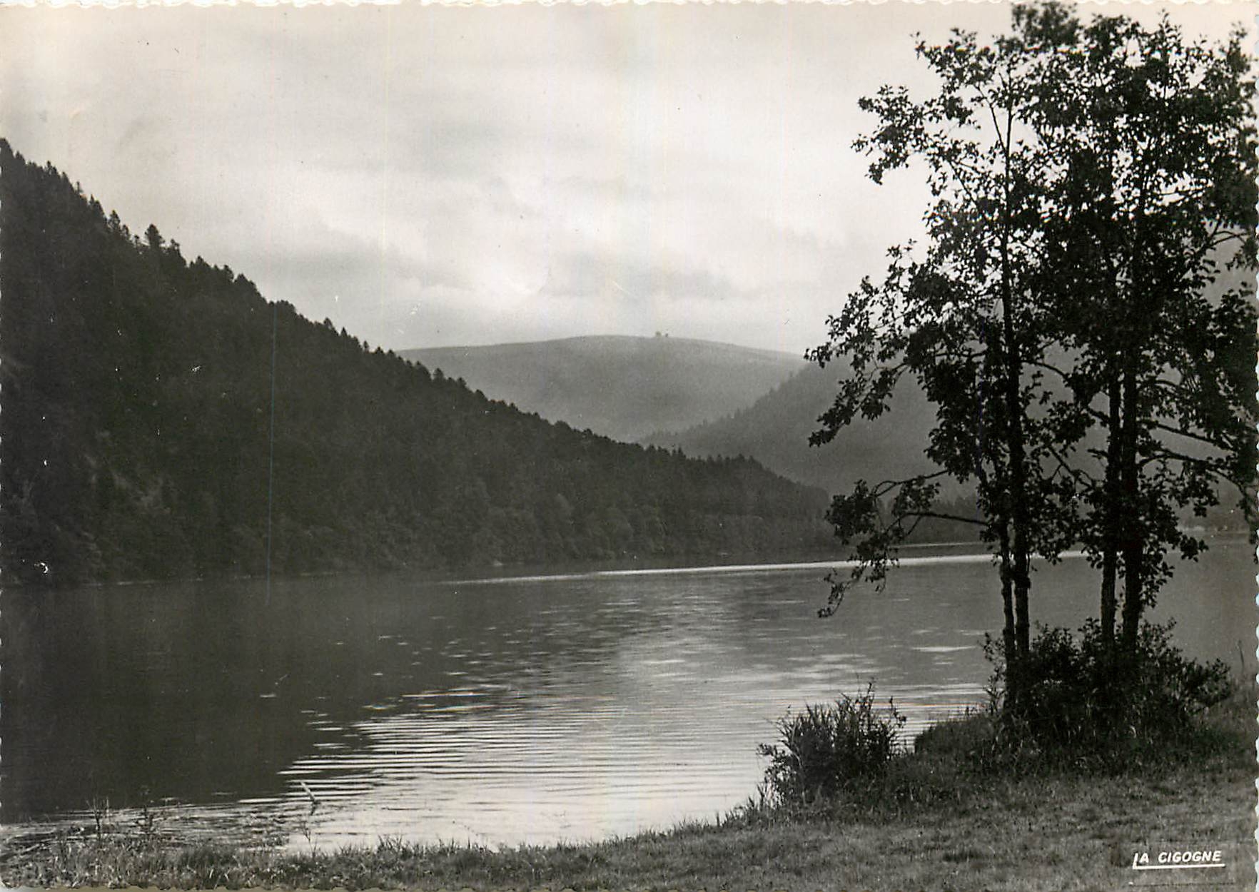 CPM Lac de Longemer Au fond le Hohneger 