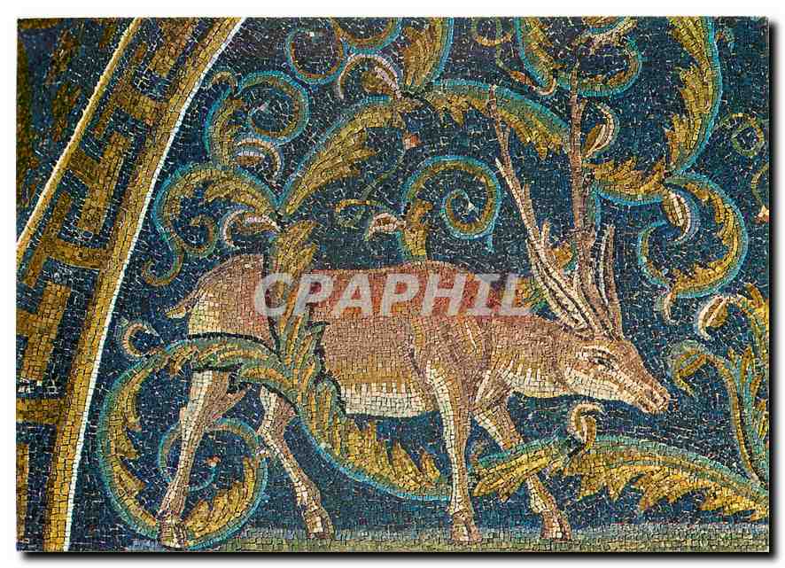 CPM Ravenna Mausoleo di Galla Placidia V 