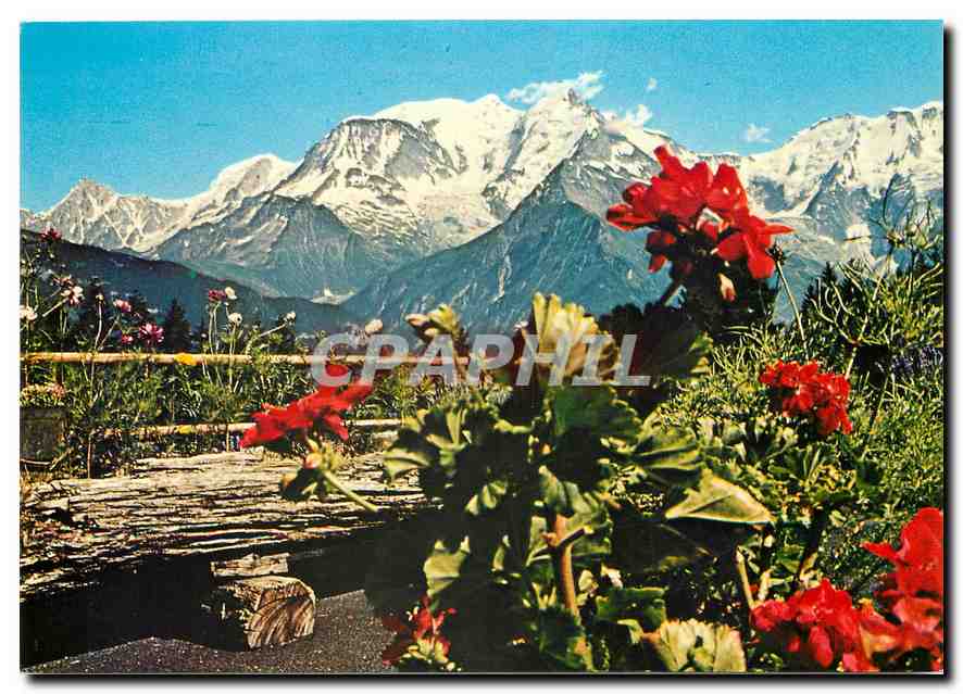 CPM Le Bettex Panorama sur la chaine du Mont Blanc 