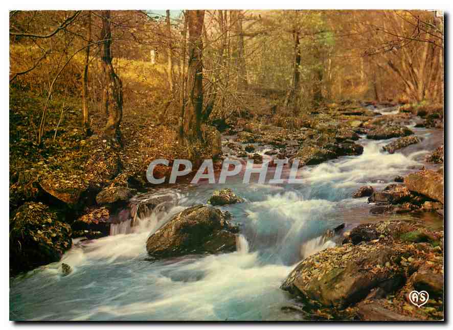 CPM Forets St Rivieres Quand l'eau dort sur les roches 