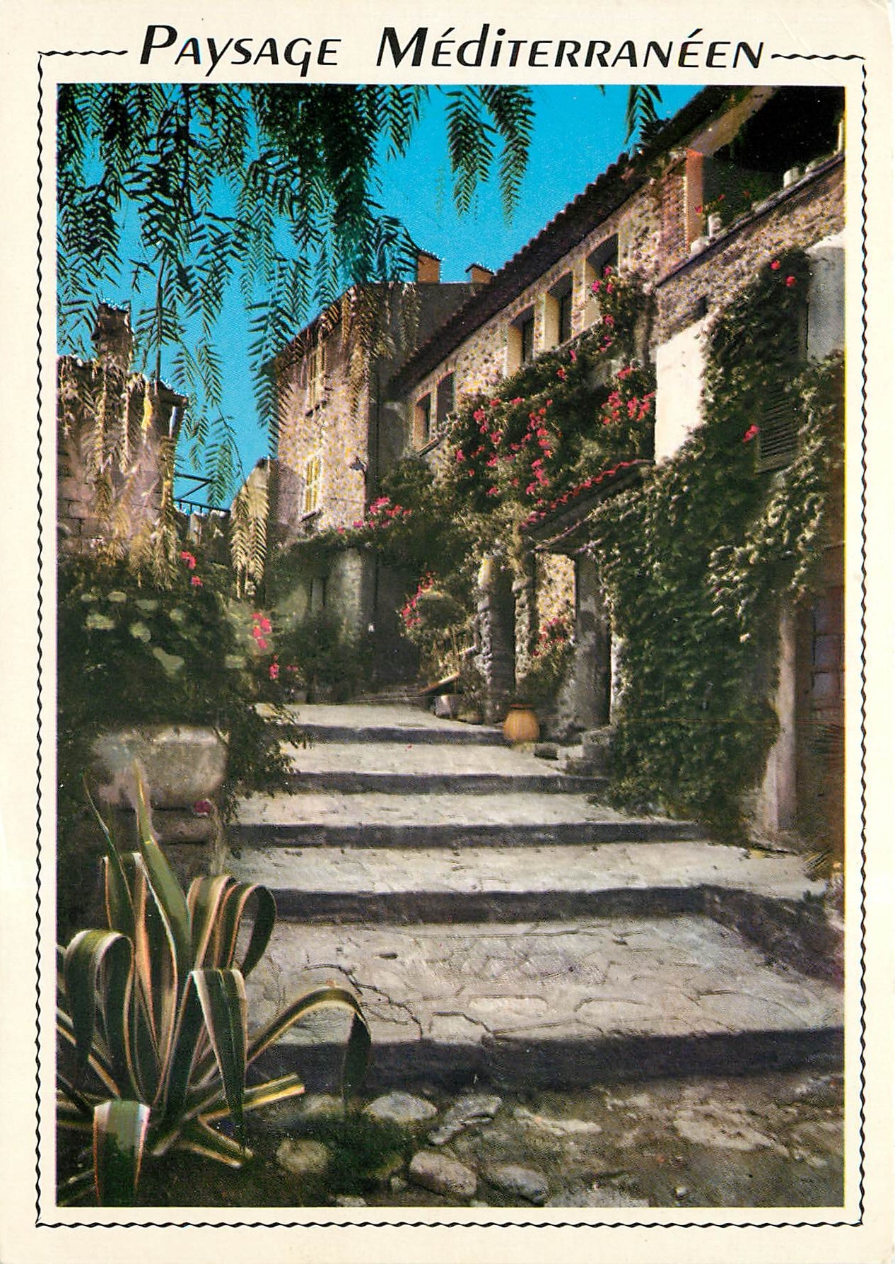 CPM Cote Mediterraneenne Provence Une vieille rue fleurie 