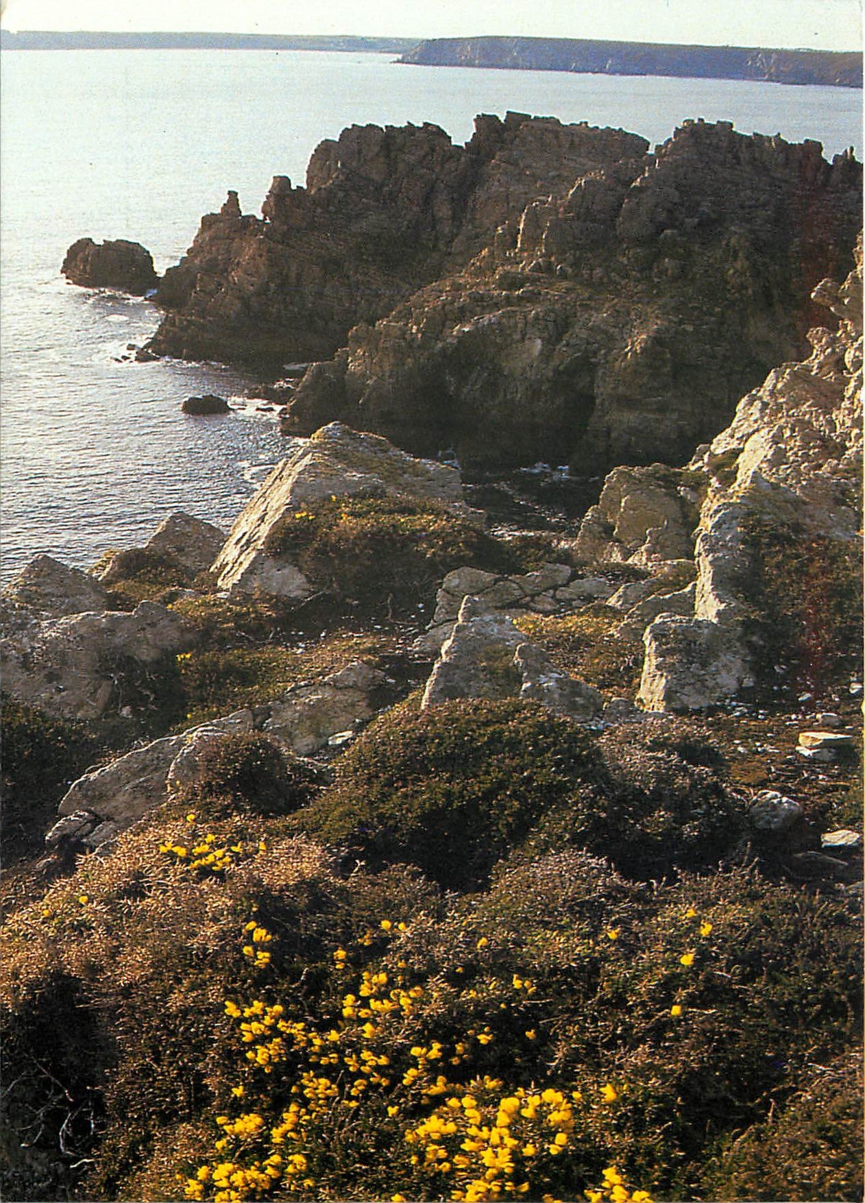 CPM Presqu'ile de Crozon Finistere La core pres du chateau de Binart 