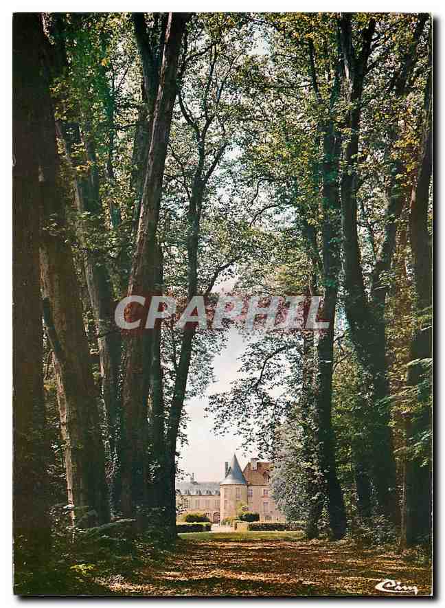 CPM Ricey Bas Aube L'allee des Platanes 