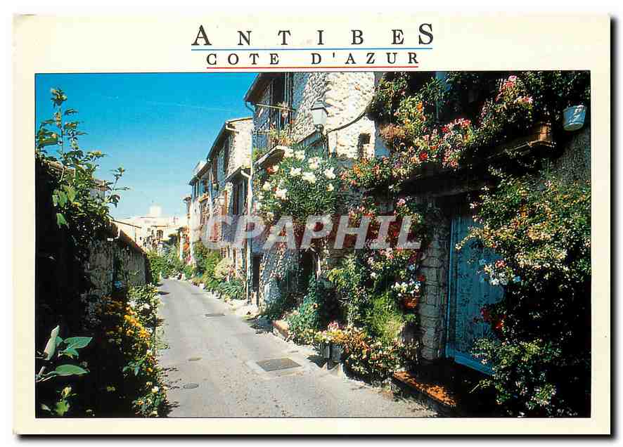 CPM Antibes Alpes Maritimes Vieille rue fleurie 