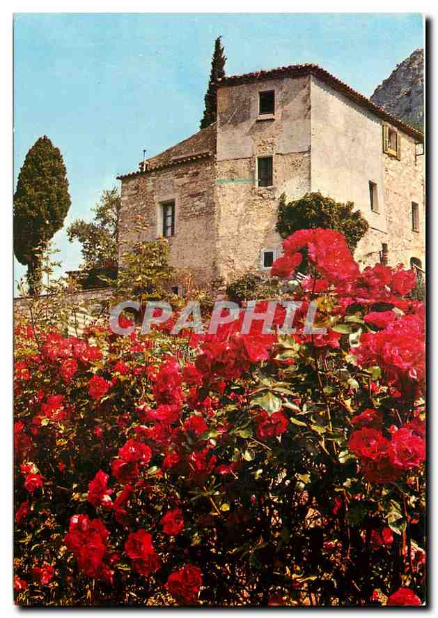 CPM Douce France Vieilles pierres et fleurs de l'Arriere Pays Mediterraneen 