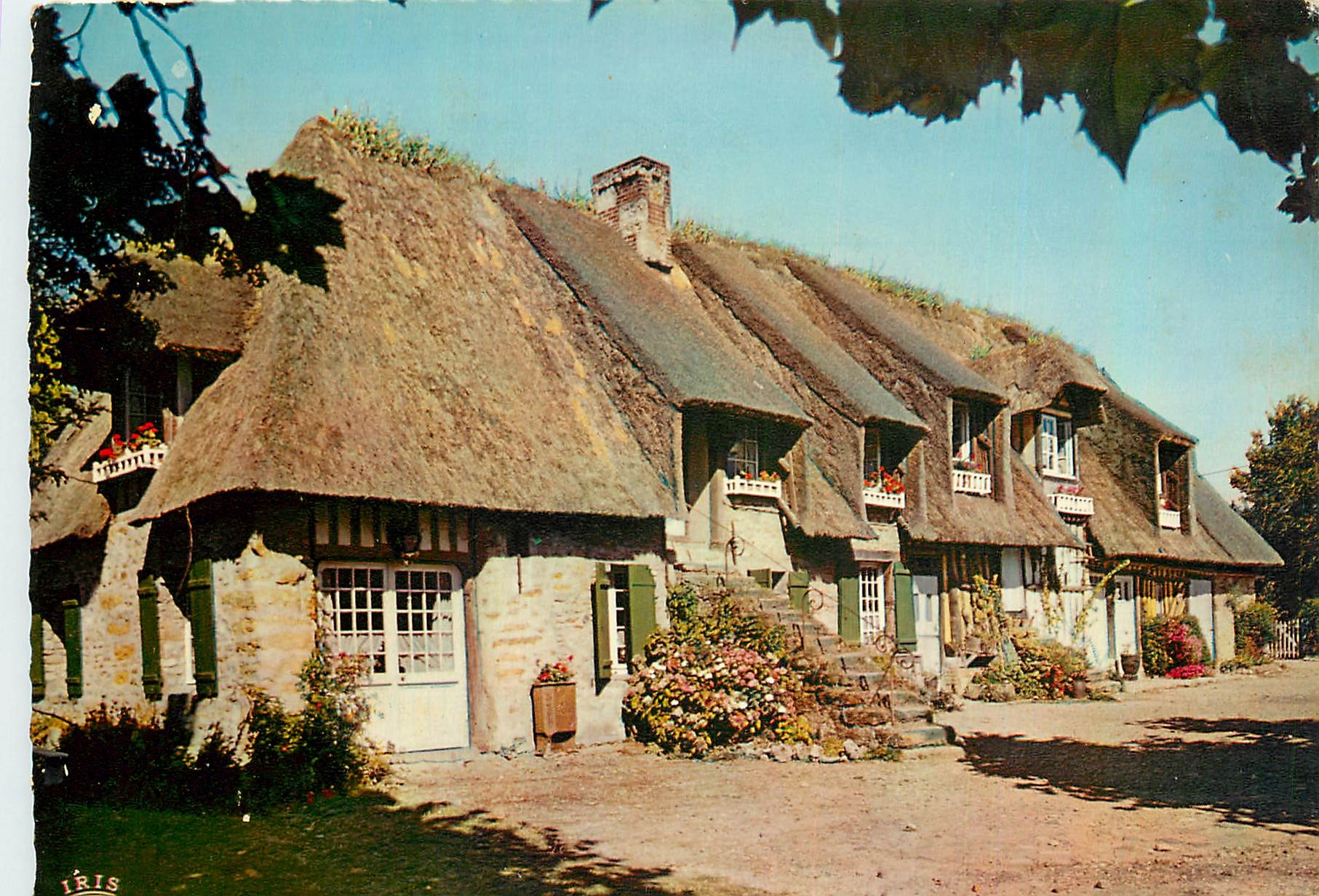 CPM La Luxuriante Normandie Maison Normande au toit de Chaume 