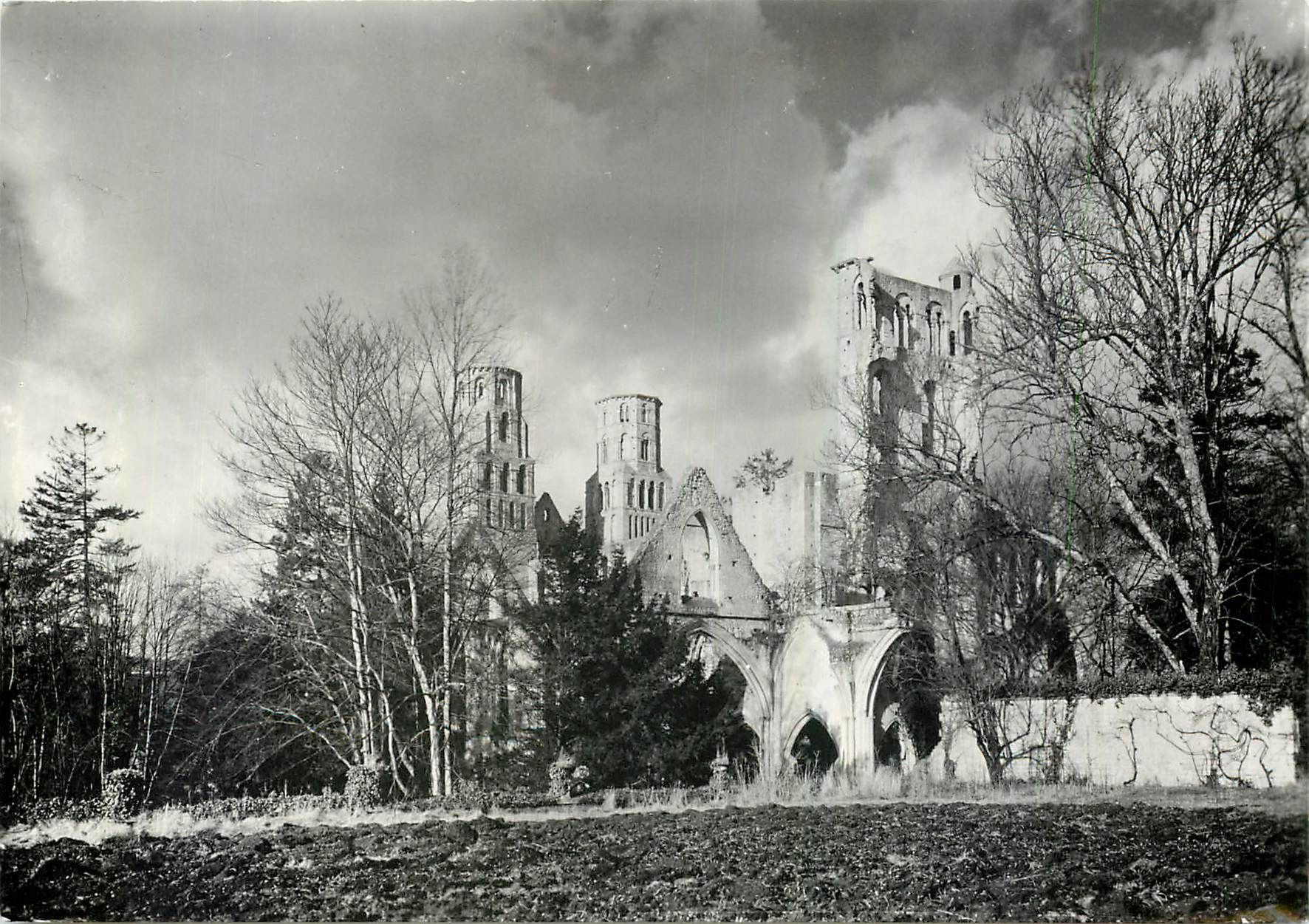 CPM Jumieges Seine Maritime Ruines de l'Abbaye 