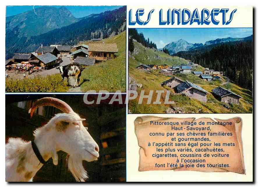 CPM Morzine Montriond Hte Savoie Les Lindarets Chevre