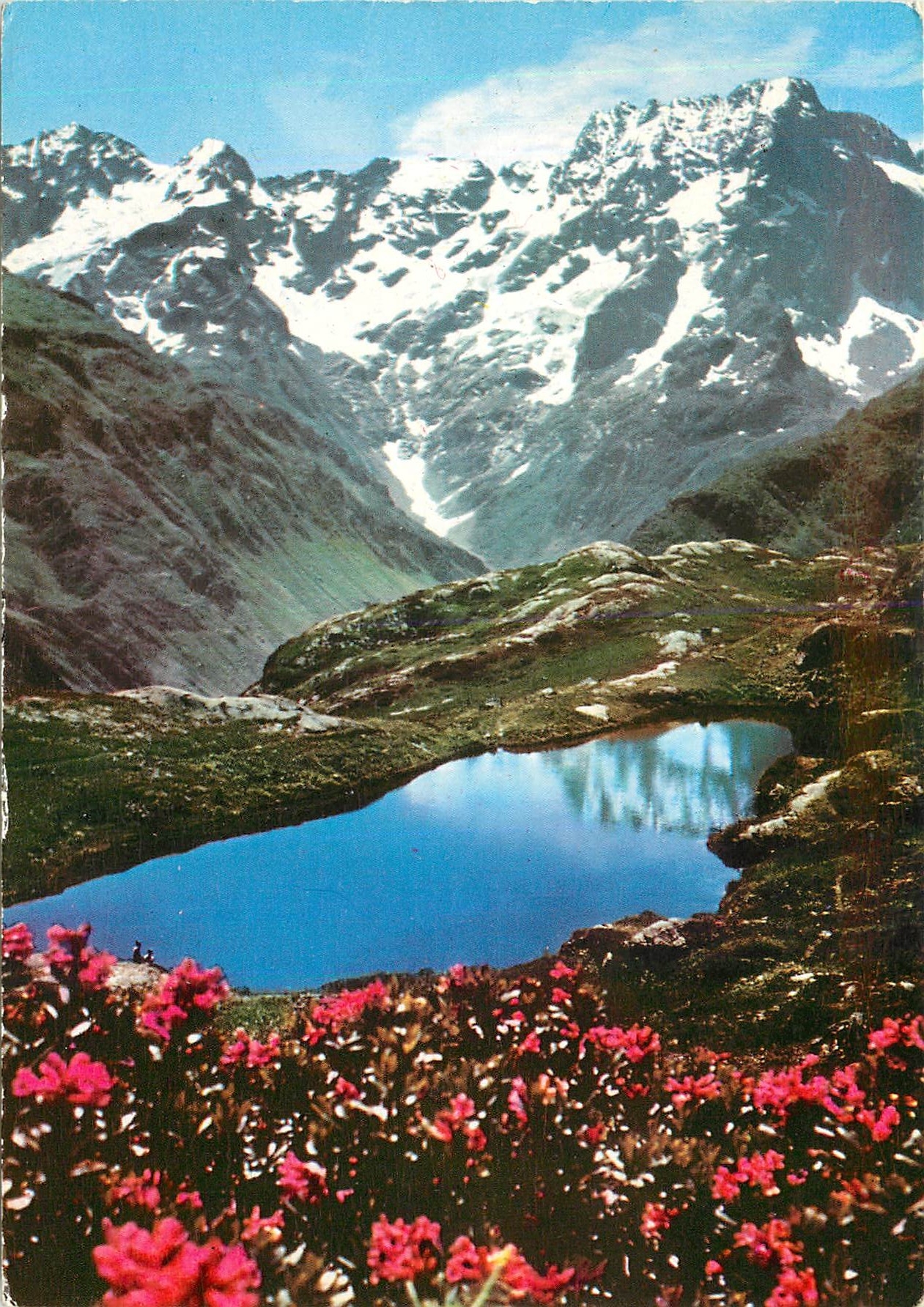 CPM Les Alpes Pittoresques Le printemps en haute altitude 