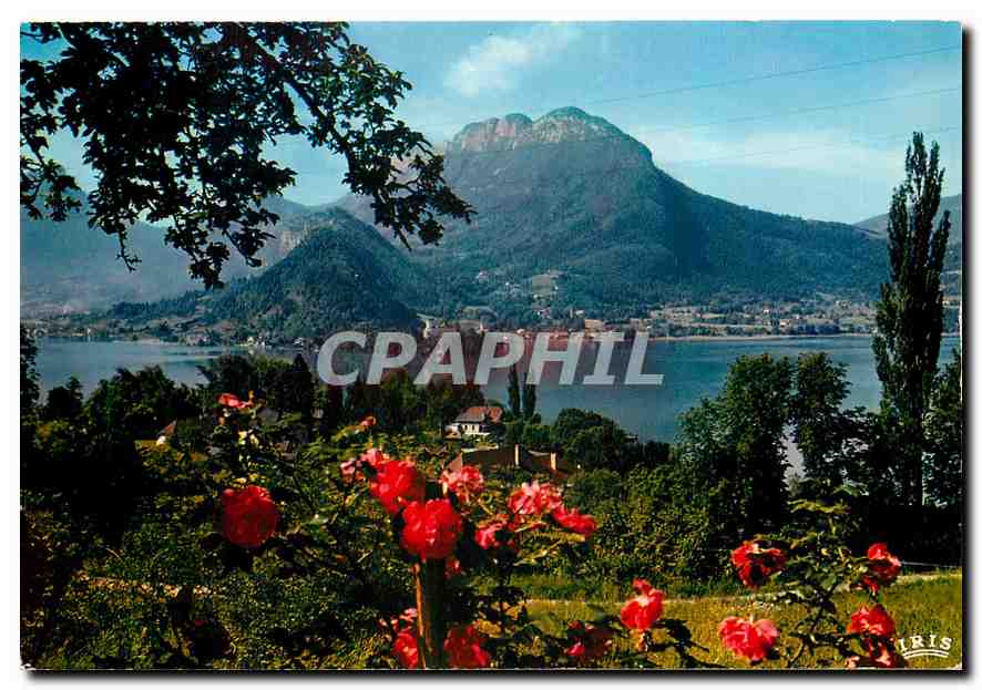 CPM Lac d'Annecy Baie de Talloires 