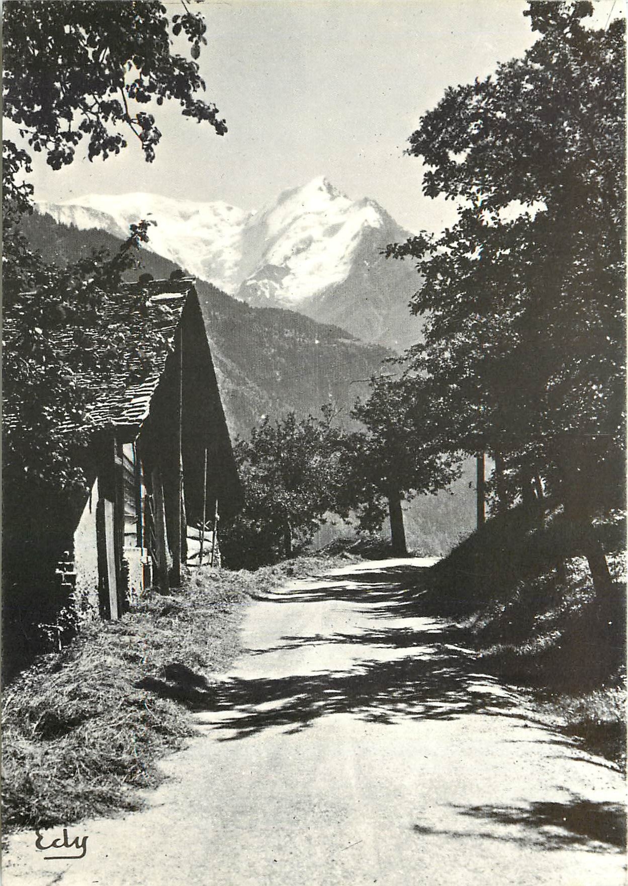 CPM Image de Chez nous La Route de l'alpage 