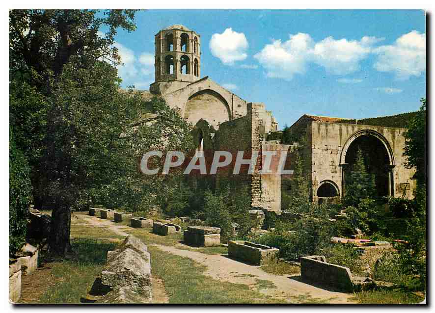 CPM Arles Les Alyscamps Cimetiere Gallo Romain 