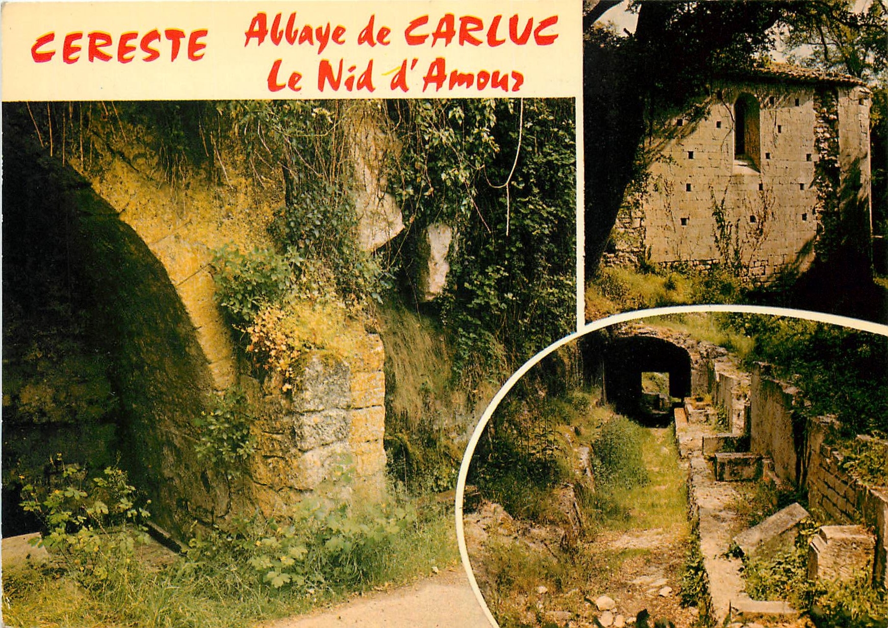 CPM Cereste Alpes de Haute Provence Le Nid d'Amour et l'Abbaye de Carluc 