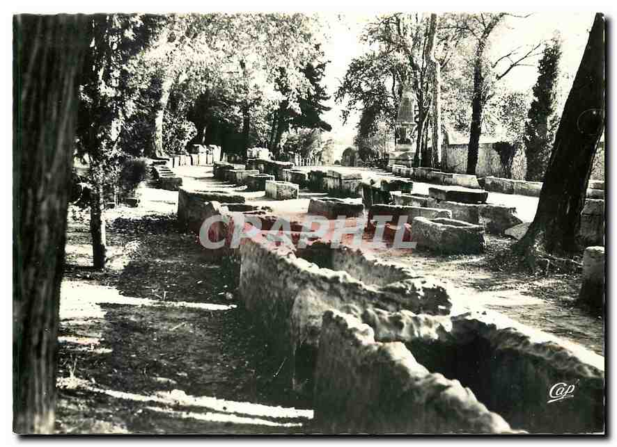 CPM Arles Les Alyscamps allee des Tombeaux 