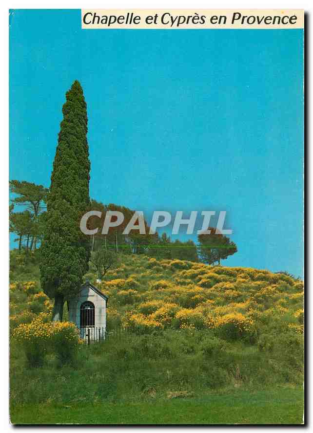 CPM Cote d'Azur Chapelle et Cypres en Provence 