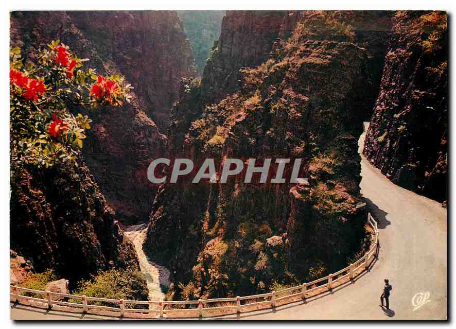 CPA Gorges du Daluis Circuit hardiment trace dans des schistee rouges 