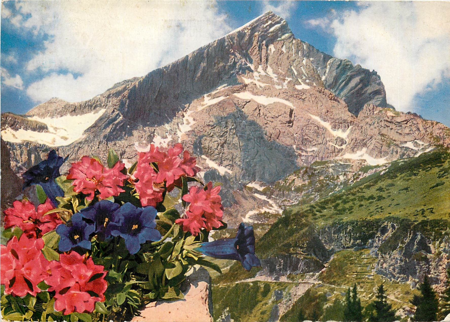 CPA Die Alpspitze bei Garmisch Partenkirchen 