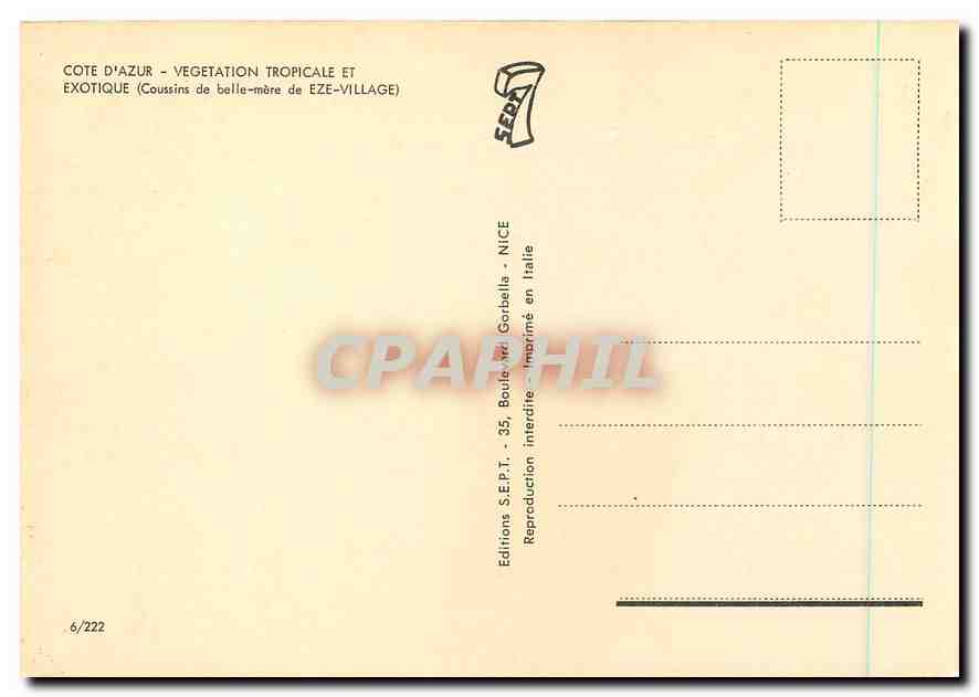 CPA Cote d'Azur Vegetation Tropicale et Exotique  — Verso